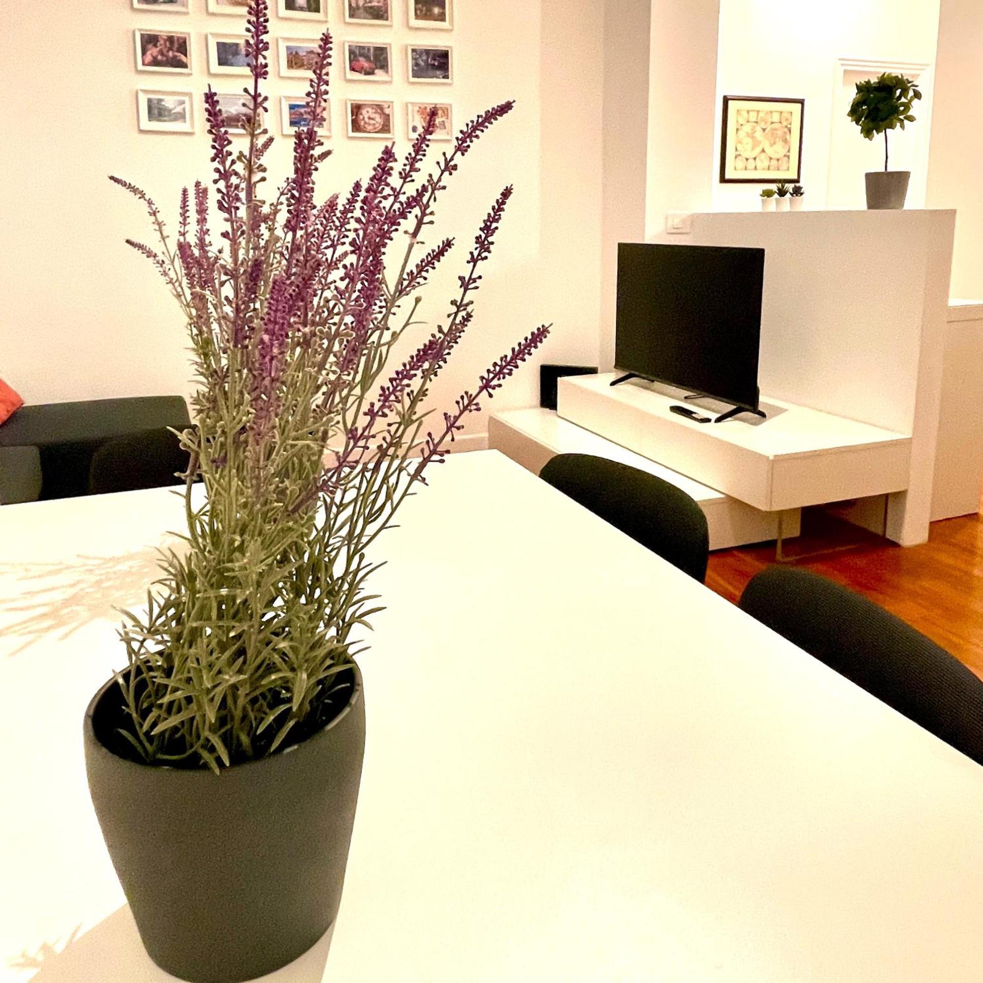 Lazy Time Apartment Рим Экстерьер фото